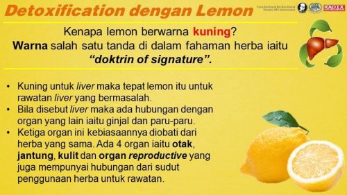 Detoks 1