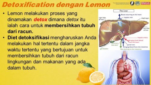 Detoks 2