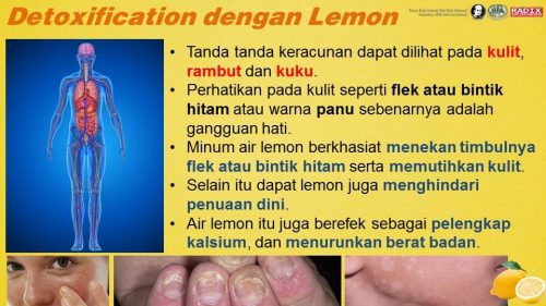 Detoks 5