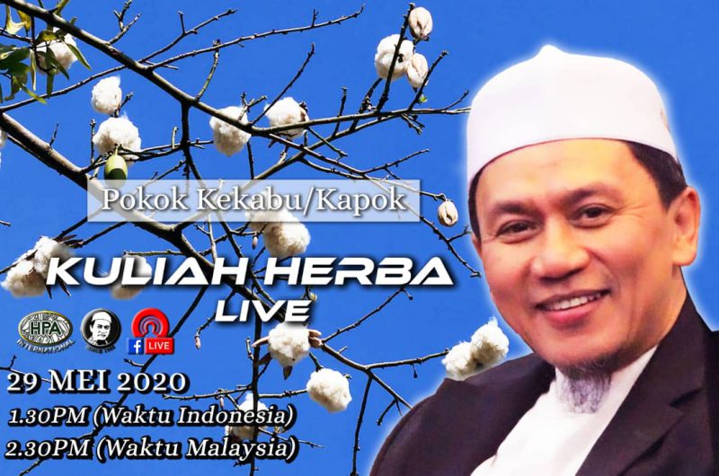 Kuliah Herba Pak Haji – 29 Mei 2020 – Kekabu atau Kapok