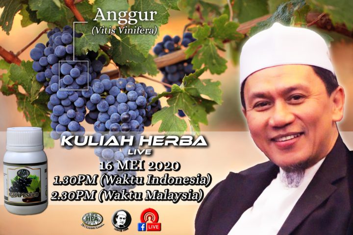 Kuliah Herba Pak Haji 16 Mei 2020 – Tema: Anggur