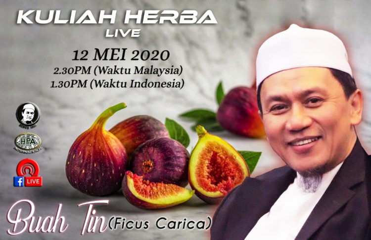 Kuliah Pak Haji melalui FB Live 12 Mei 2020 – Tema: Zaitun