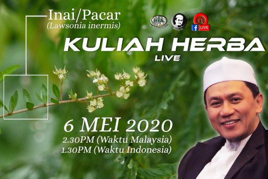 Kuliah Herba FB Live 06 Mei 2020 – Pacar/Inai