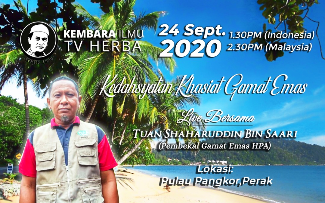 TV Herba 24 September 2020 – Kedahsyatan Khasiat Gamat Emas