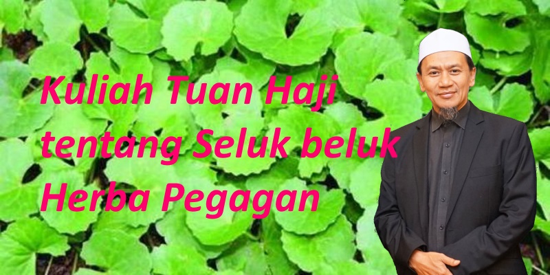 Kuliah Pak Haji Ismail tentang Herba Pegaga