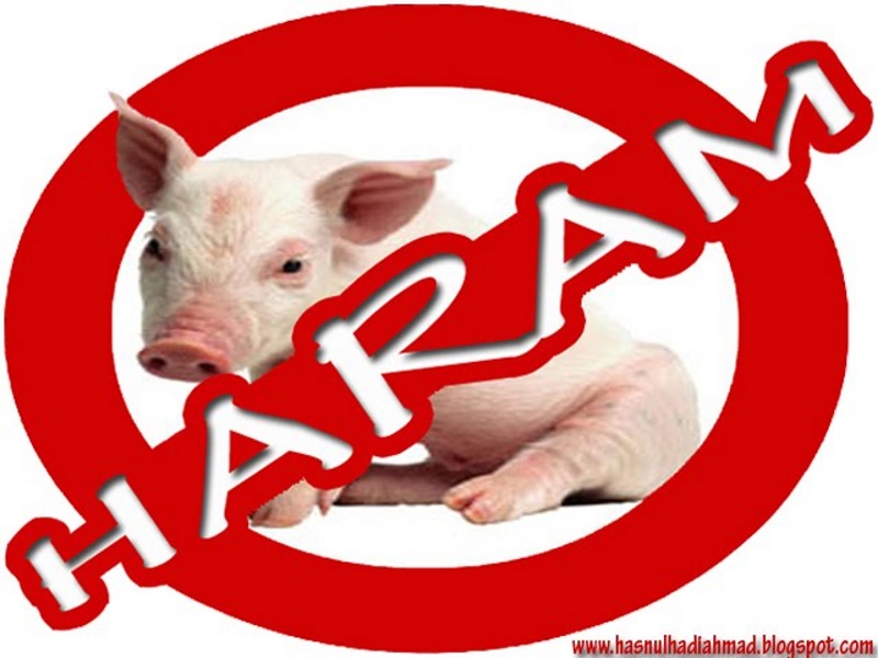 Hati-hati, babi sudah digunakan dimana-mana!