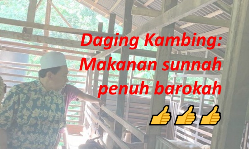 Hari 26. Kajian Daging Kambing: Makanan Sunnah yang Penuh Keberkahan