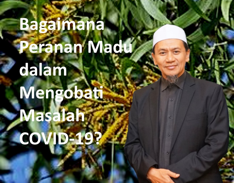 Bagaimana Peranan Madu dalam Menyembuhkan Pasien COVID-19?