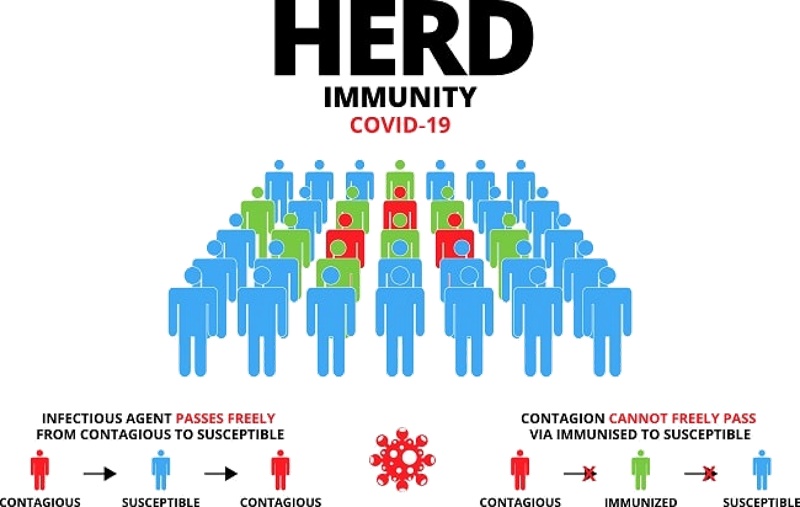 Pandangan Thibunnabawi terhadap HERD Immunity COVID-19