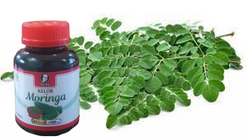 Catatan Kuliah Pak Haji tentang Moringa/Kelor